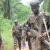 Infos congo - Actualités Congo - -Nord-Kivu : deux combattants ADF tués lors d’une opération conjointe FARDC-UPDF près de Biakato