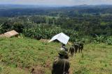 Rutshuru : les FARDC reprennent le contrôle de 4 villages jadis occupés par le M23