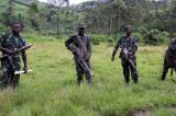 Nord-Kivu : une accalmie observée sur toutes les lignes de front depuis vendredi