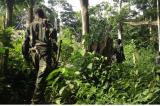 Le gouvernement reconnaît une «défaillance» de l'armée lors d'une opération contre le M23