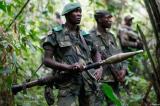 Nord-Kivu : les affrontements signalés ce mercredi entre les FARDC et le M23 à Busanza