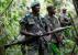 Infos congo - Actualités Congo - -Affrontement entre les FARDC et M23: l'armée tente de récupérer ses positions
