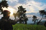 Un mort dans l'assaut contre un chantier dans le parc Virunga