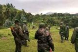 Les FARDC récupèrent plusieurs villages de Rutshuru et Masisi au Nord-Kivu 