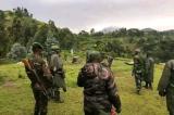 Nord-Kivu : l’armée annonce la capture des quelques terroristes du M23 