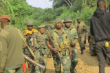 Ituri : les forces congolaise et ougandaise pilonnent des bastions des ADF à Irumu  (Société civile)
