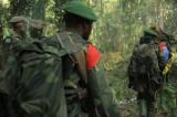Rutshuru : poursuite des combats entre FARDC et M23