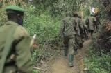 Traque des ADF : les opérations conjointes FARDC-UPDF se poursuivent normalement à Beni 
