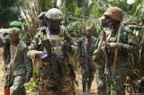 Ituri : des bastions des ADF détruits et plus de 100 kg d’explosifs récupérés lors des opérations FARDC-UPDF à Mambasa