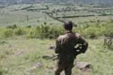 Masisi : reprise des combats entre les FARDC et le M23 sur au moins 4 fronts