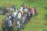 Sud-Kivu: reddition de 6 éléments FDLR à Kalehe