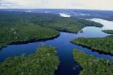 1er Forum International sur le monitoring des forêts du Bassin du Congo 