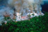 Brésil : l'Amazonie brûle à nouveau 