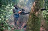 L’exploration pétrolière dans les tourbières de la RDC met en danger les forêts, le climat et les communautés locales