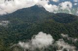 Environnement : le projet « Gouvernance forestière » vise l’accompagnement des parties prenantes