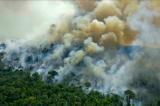 À la COP26, plus de 100 dirigeants promettent de stopper la déforestation d'ici 2030