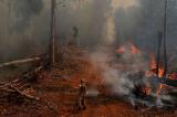 Brésil: pourquoi la forêt amazonienne part toujours plus en fumée 