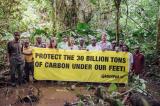 Protection des tourbières : la RDC et le Congo Brazzaville interpellés par Greenpeace