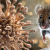Infos congo - Actualités Congo - -Hantavirus, nouvelle menace pour le monde ?