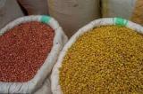 Goma : augmentation des prix des haricots inquiète les consommateurs