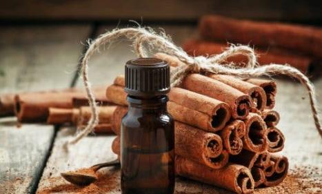 Infos congo - Actualités Congo - -Comment fortifier ses cheveux avec la cannelle ?