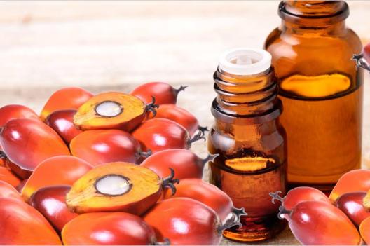 L’huile de palme rouge : un trésor naturel pour la beauté de la peau et des cheveux