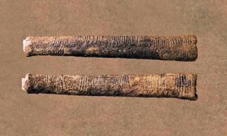 Infos congo - Actualités Congo - -L’ICCN veut rapatrier l’Os d’Ishango, la plus ancienne tablette des mathématique