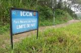Goma : la destruction de l'environnement par les belligérants est un crime de guerre (Expert)