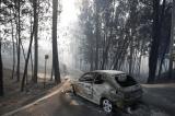 Incendie meurtrier au Portugal: près de 900 pompiers mobilisés