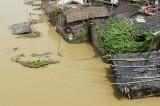 Asie du Sud : la mousson a fait au moins 270 morts en quelques jours en 