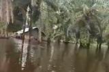 Province de la Tshopo : Plus ou moins 40 villages d’Isangi sous les eaux du fleuve Congo !