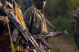 Ituri : une nouvelle attaque des Adf signalée entre deux positions militaires au sud de Komanda