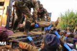Ituri : 179 personnes tuées par des groupes armés en août 2022 (MONUSCO)