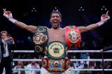 Boxe : Anthony Joshua prend sa revanche et redevient champion du monde des poids lourds