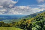 Protection de la faune sauvage : Pays membre du GWP, la RDC face à des défis 