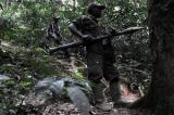 Sud-Kivu : un chef des miliciens opérant dans le parc de Kahuzi Biega aux arrêts