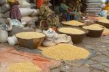 Le prix du maïs doublé sur les marchés de Mbuji-Mayi et Mwene-Ditu