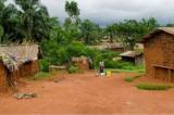 Kasaï-Central : en quête de fourmis ailées, un père tire sur son fils qu’il confond à une bête à Kazumba