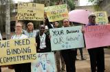 Biodiversité : à Nairobi, les experts de la CDB réfléchissent sur le cadre pour après 2020
