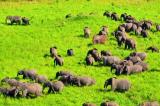 Haut-Katanga : des ONG exigent une enquête sur la gestion des parcs d’Upemba et de Kundelungu