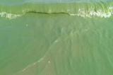 Uvira : les eaux du Lac Tanganyika changent de couleur et virent au vert !