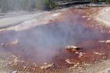 États-Unis : un homme se dissout après être tombé dans une source acide de Yellowstone