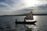 Les espèces endémiques du lac Victoria, plus grand lac d'Afrique, en danger