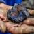 Infos congo - Actualités Congo - -Minerais: Pourquoi le cobalt, ce métal essentiel à la technologie, est-il si controversé ?