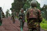 Maniema : les démobilisés M23 d’origine congolaise pourraient être cantonnés à Kindu (Maire)