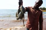 Haut Katanga : réouverture de la pèche dans les cours d’eau et lacs de la province