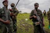 Les États-Unis appellent le Rwanda à retirer immédiatement ses troupes en RDC