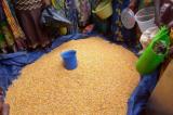 Kasaï central : baisse de prix de maïs à Kananga, la mesure passe de 2000 à 1500 FC