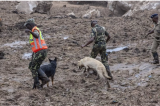 Malawi : les chiens renifleurs à la recherche des victimes