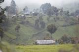 Nord Kivu : Nouveaux affrontements meurtriers entre milices rivales